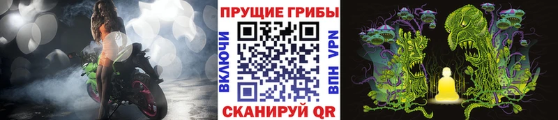 закладки Наволоки Галлюциногенные грибы ЛСД